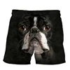 New Funny Animals Dog Hawaiian Beach Shorts Cute Pets 3D Print Men Surfing Board Shorts Oversized Swimwear Trunks Kids Clothing 3