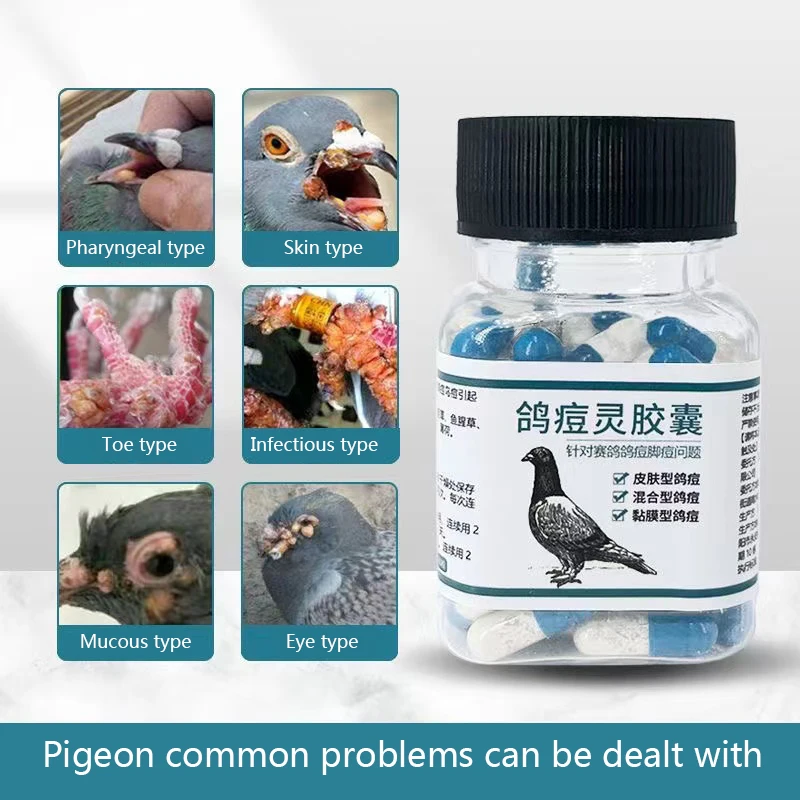 

Racing pigeon nutritional supplement Pigeon pox Capsules 80 capsules pigeon bird beak pox foot pox pigeon pox eye pox