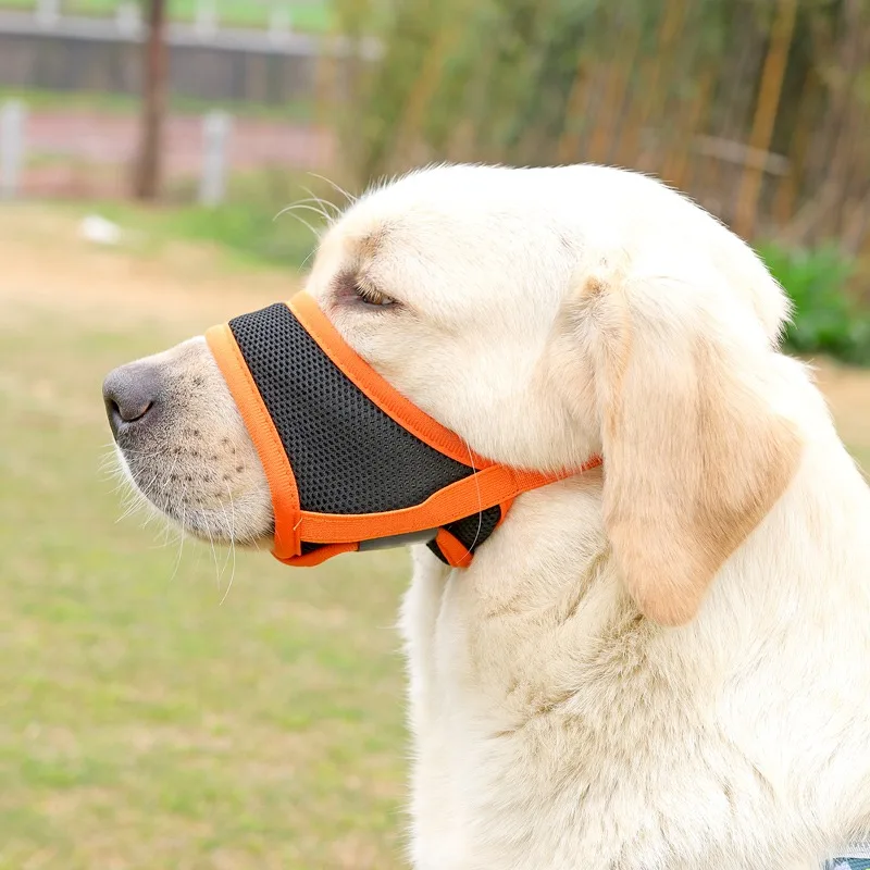 Dog Muzzle To Stop Barking Dog Muzzle To Stop Barking And Barking