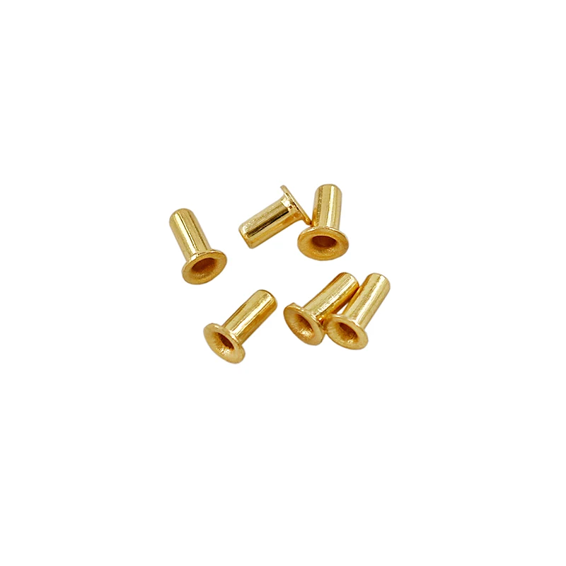10pcs Leyacan rivet string eye string nail Small harp nail Gold repair accessory tool