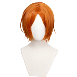 Hinata Aoi Cosplay Wig - Heat Resistant Synthetic Hair - The Ensemble Stars (Hinata Aoi)