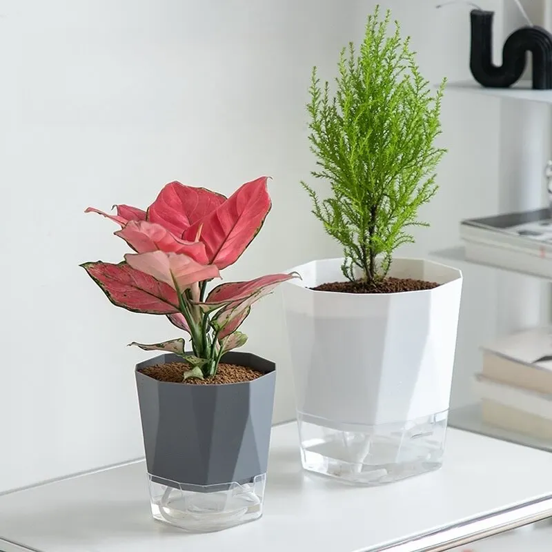 Flower pot Transparent Household Lazy Man Water Pot Automatic Water Absorption Flower Pot Net White Resin Plastic Large Storage