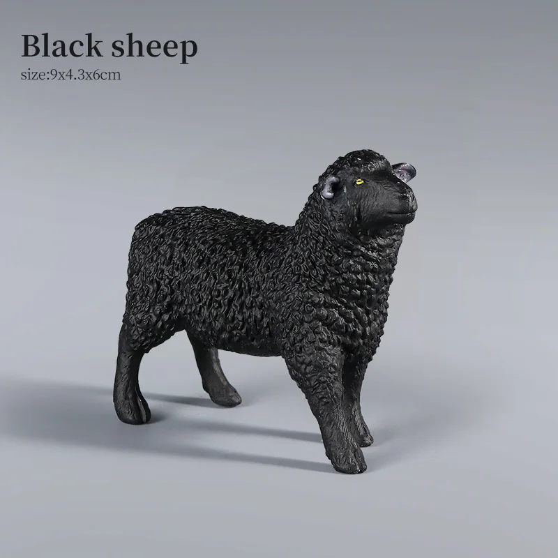 Animal-13