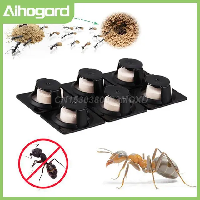 6Db Hangya Ügynök Csali Erőteljes Gyilkos Rovar Kártevő Porvezérlés Megsemmisíti A Hangyák Taszító Csapdát Megöli Csalit