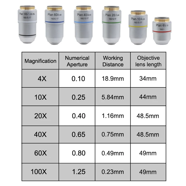 100x Objective 100X Microscope Objective Lens RMS Thread