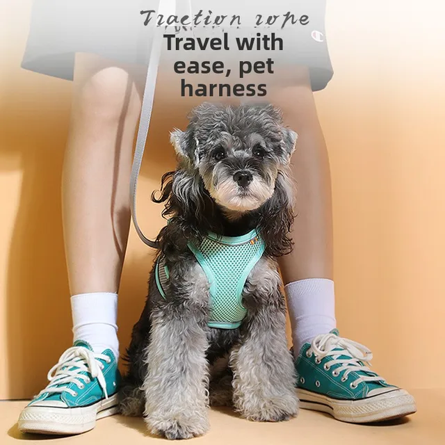 Pet Outing Leash for Small and Medium-sized Dogs, High-quality Reflective Dog Leash on The Chest and Back, Cat Leash 4