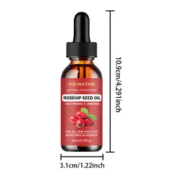 Rose Essential Oil for Aromatherapy and Skin Care - 40/60ml (60ml)