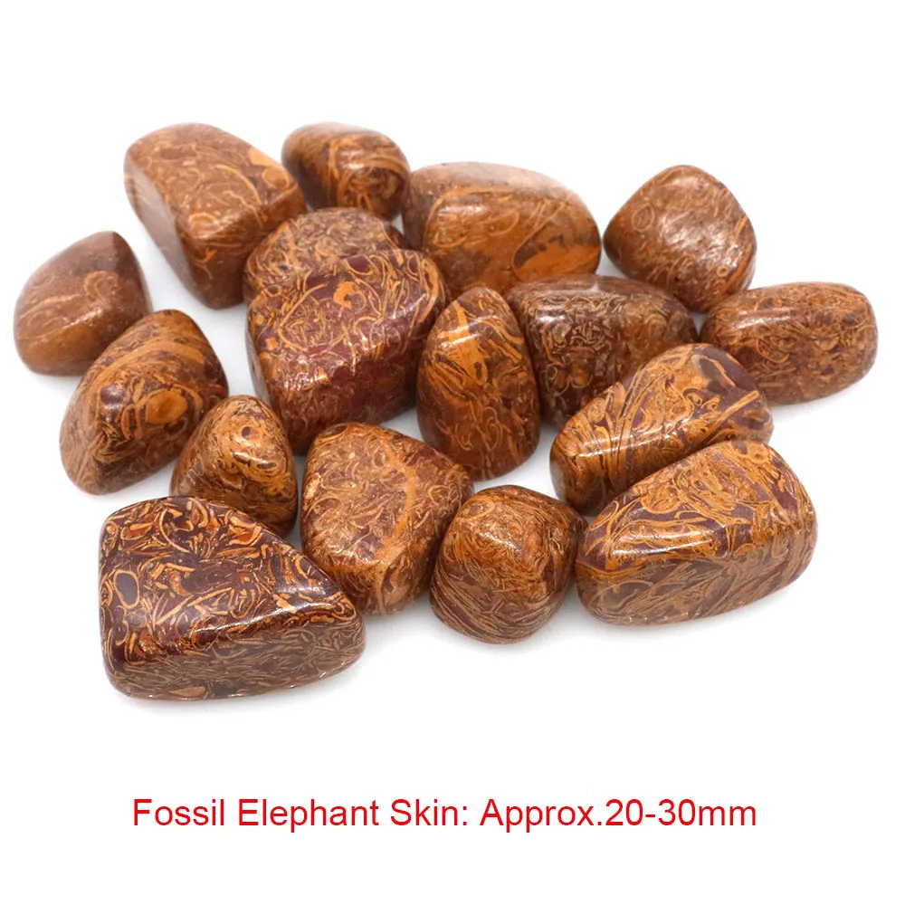 Fossil Elephant Skin