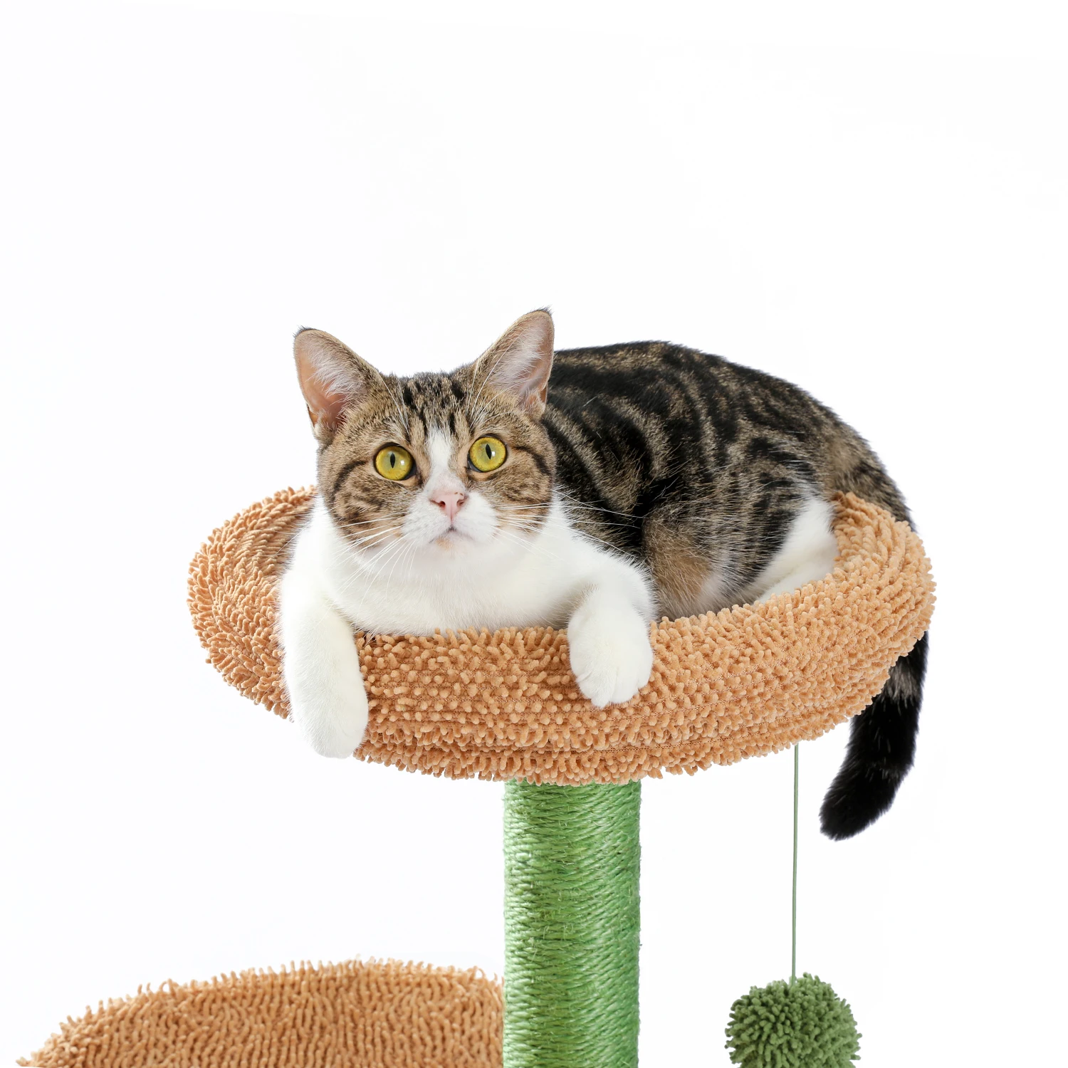 S936f9f1d3a924769849b470d3291c100V