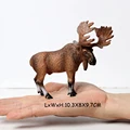 Moose