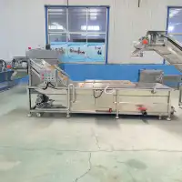 Industrial Commercial Fruit And Vegetable Bubble Washing Cleaning Machine Food Processing Machinery 2