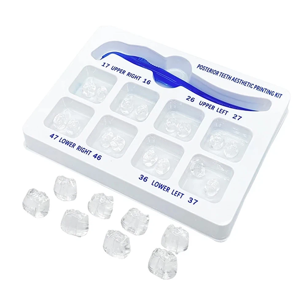 New Dental Posterior Teeth Aesthetic Printing Mould Kit For Light Cure