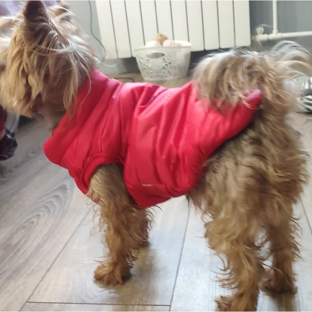 Dog Jackets Winter 5