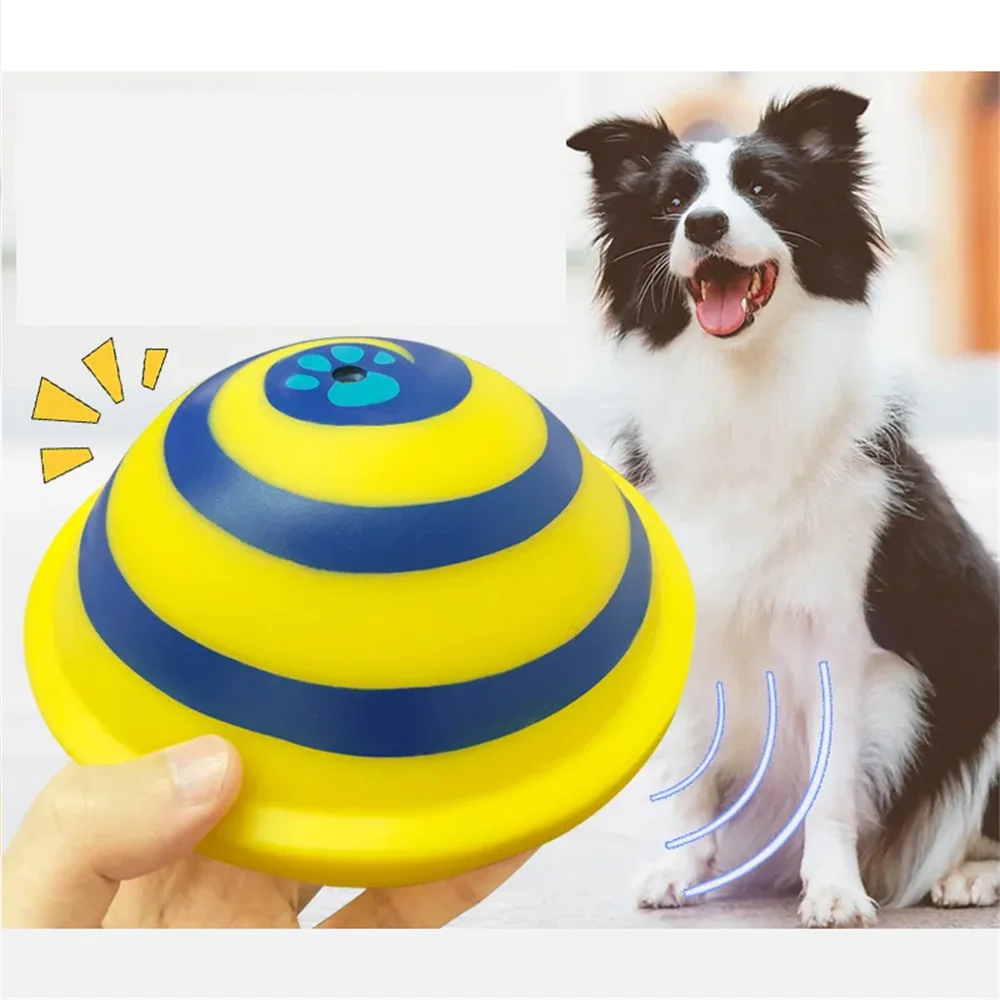Silicone Dog Border Collie, Silicone Flying Saucer