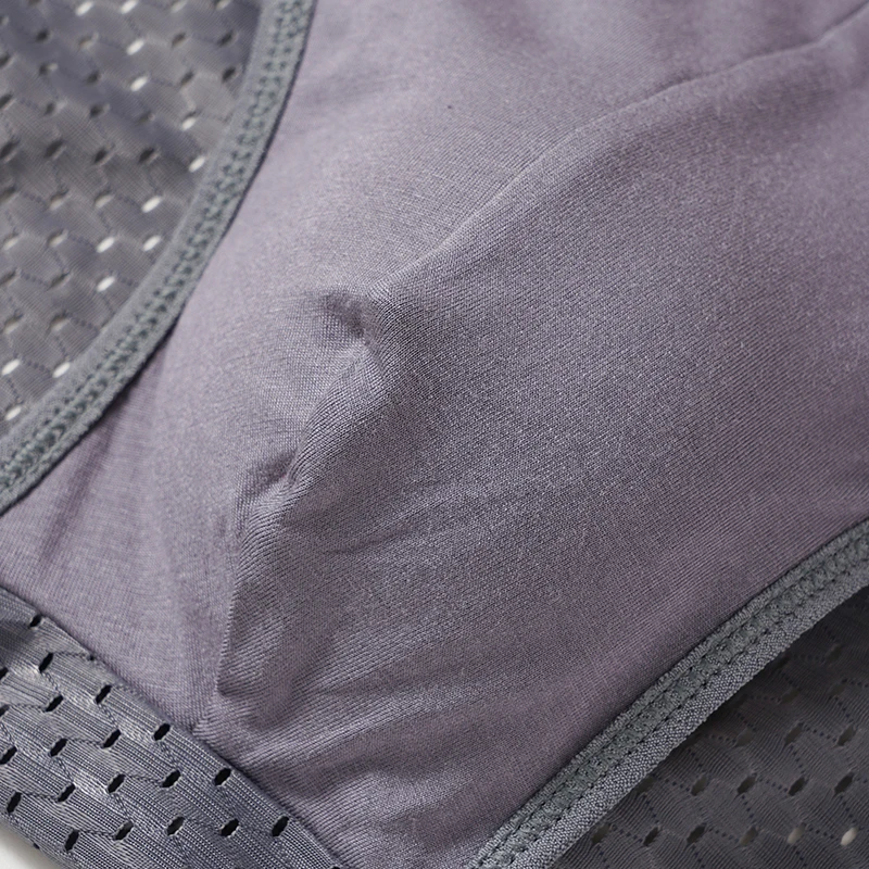 2 Pcs/Lot Men's Mesh Breathable Briefs Underwear Hombre Hole Large Size Male Shorts Lingerie Underpants Sexy Panties 6