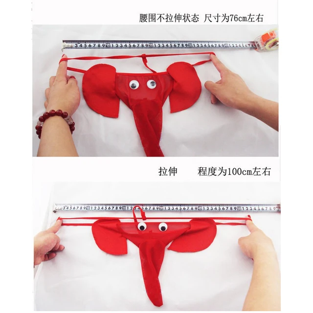 Mens G-string Sexy Stylish Elephant Panty Bulge Pouch Men Thong T Back  Elastic Erotic Lingerie Tanga Hombre Underwear Gay Sissy - AliExpress