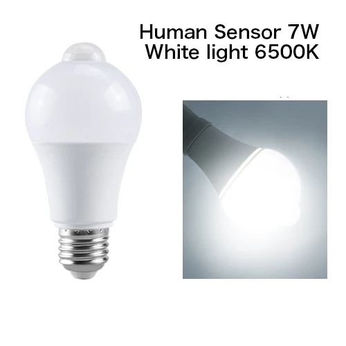 Human Sensor 7W