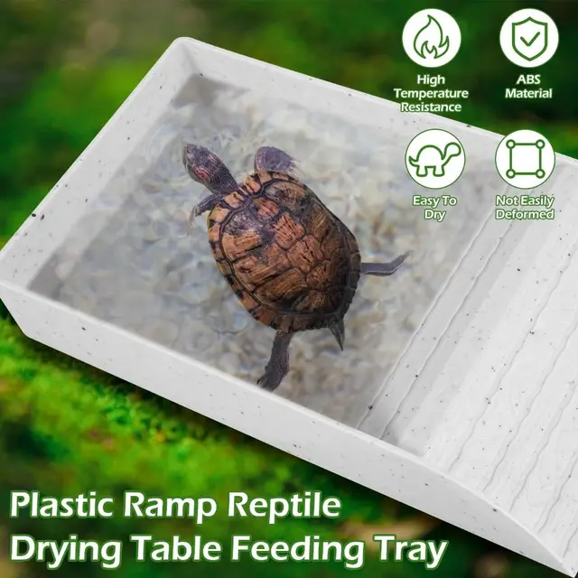 Dish Plastic Turtle Food and Water Bowl Tortoise Accessories for