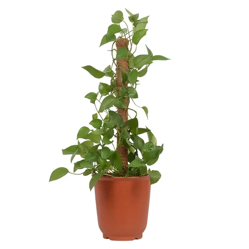 

Bendable Coco Coir Moss Pole 4 Sizes Natural Moss Pole Plant Support Stick for Climbing Plants Train Monstera Philodendron