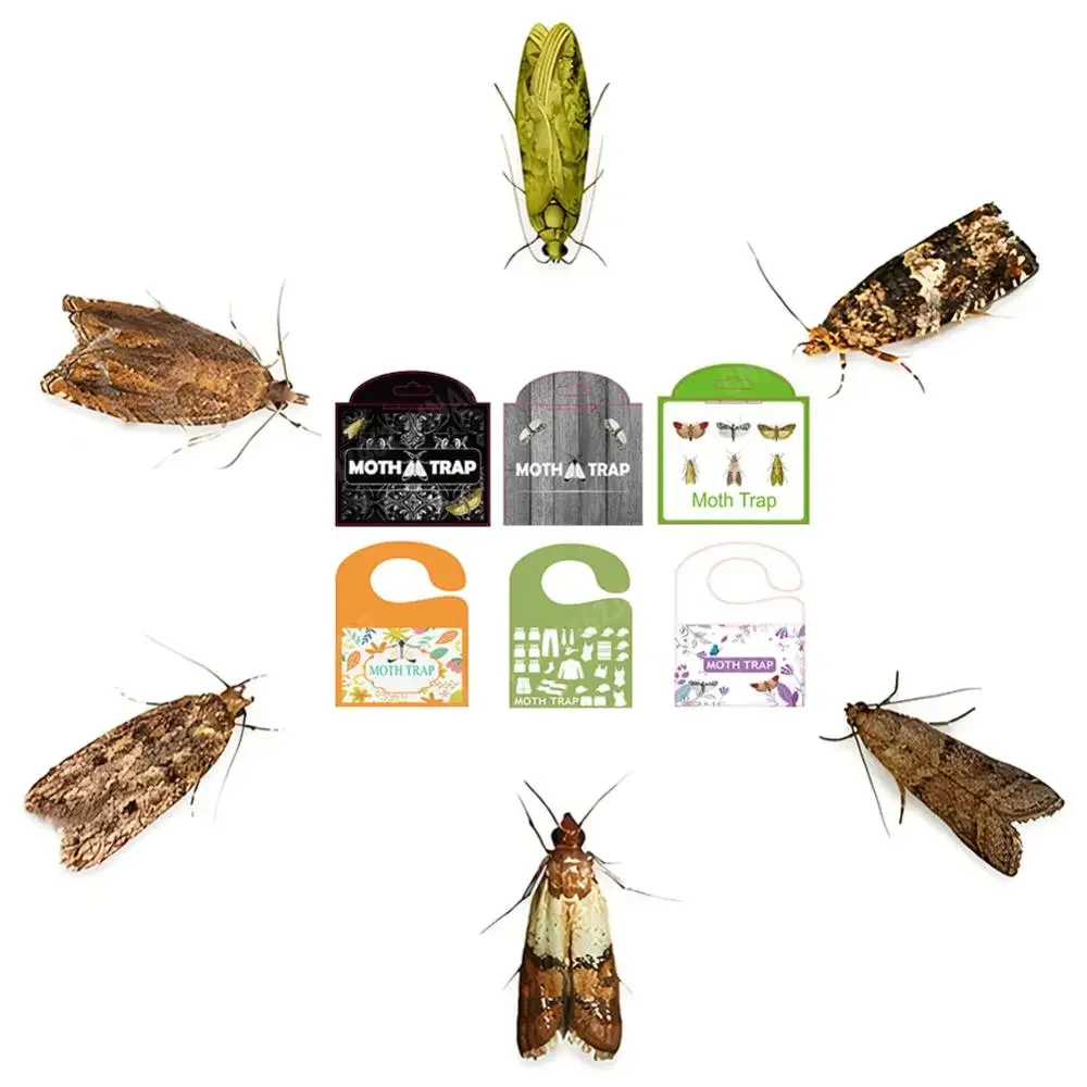 페로몬 프라임 나방 페로몬 트랩, 가정용 주방 및 의류용 강력한 나방 트랩, 5..