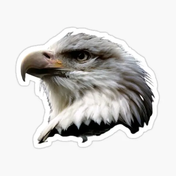 

Car Eagle Auto Sticker for Bonding Sticker 17CM q7