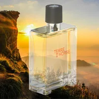 Eau De Parfum High Quality Brand Terre Men's Perfume 100ml -Woody Fragrance Fresh and Long-lasting Natural Cologne Spray for Men