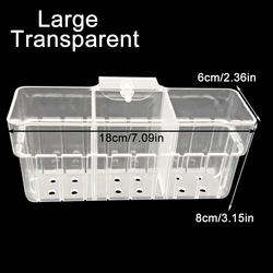 Aquarium Clear Hydroponic Wall Planter - Floating Plant Display (Large)