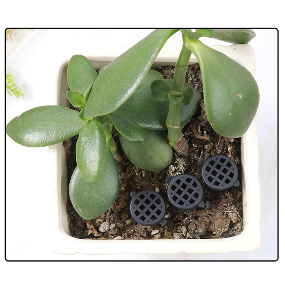 Fertilizzante Piante Grasse 100 Cestini Per Fertilizzante Bonsai - Riutilizzabili E Decorativi Fertilizzante Fiori