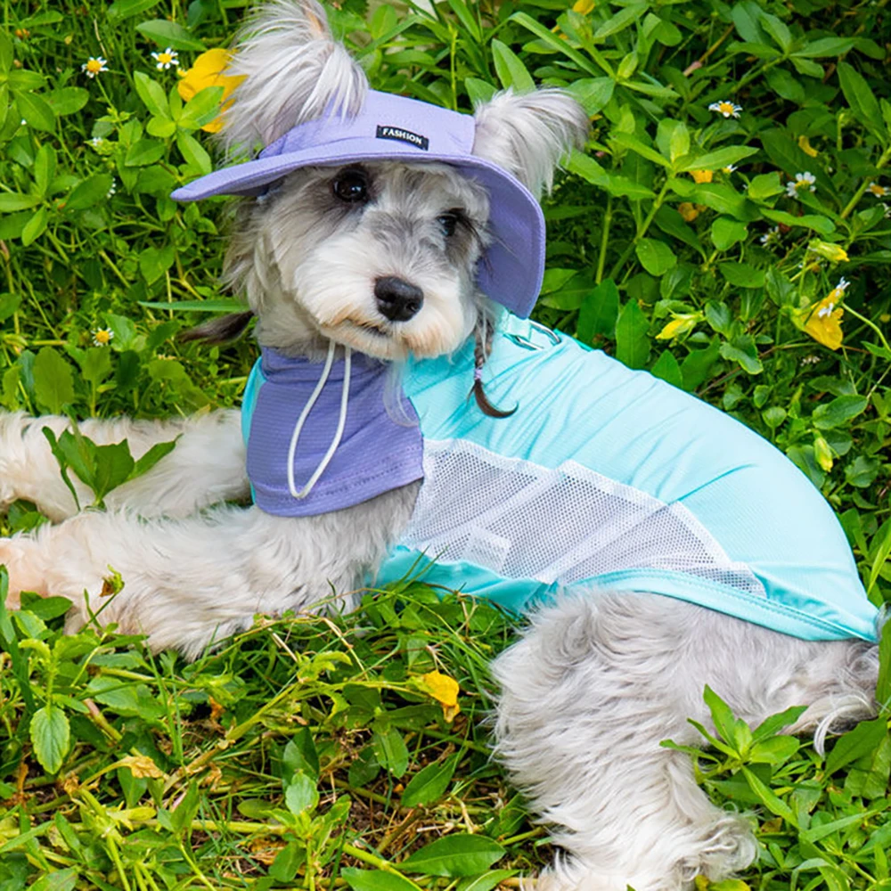 Cooling Mesh Breathable Dog Cat Vest Harness With Sun Hat Set Adjustable Summer Soft Pet Apparel Puppy Kitten Small Dogs_voghion.com