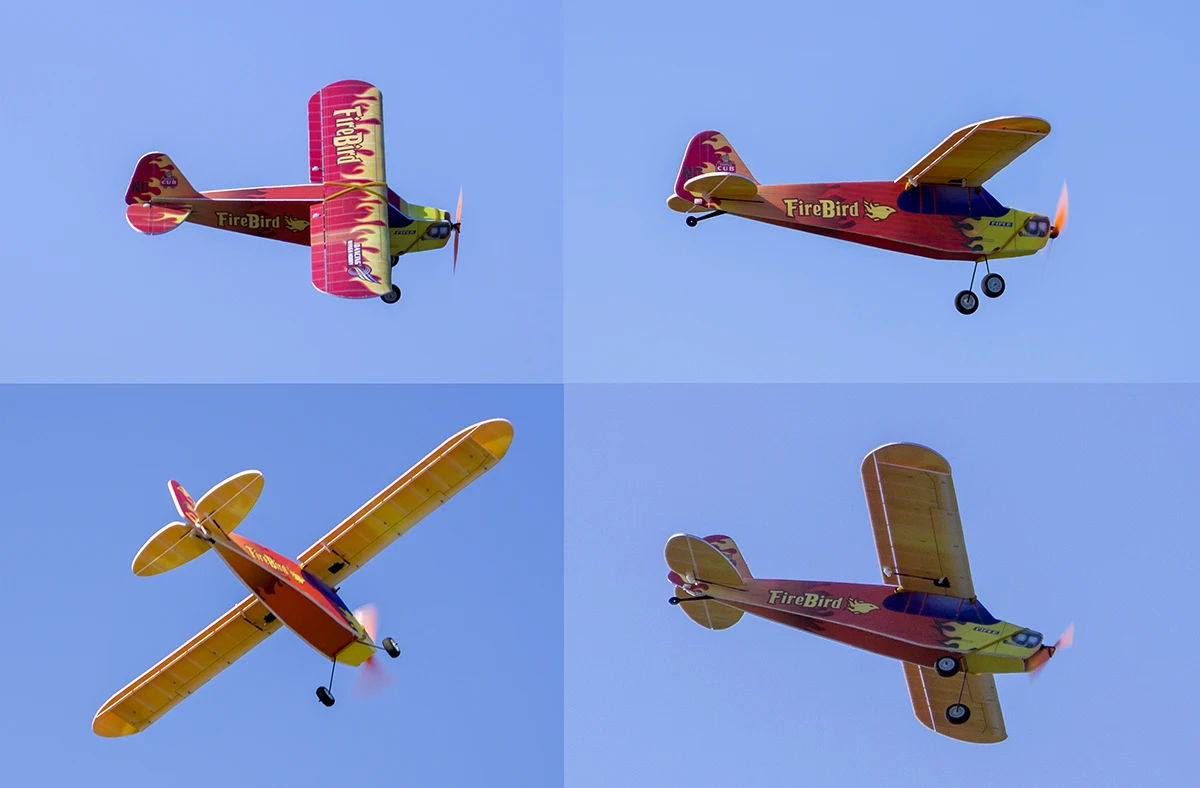 DW Hobby E31 RC Remote Control Airplane Fire Bird 600mm Wingspan Hobby