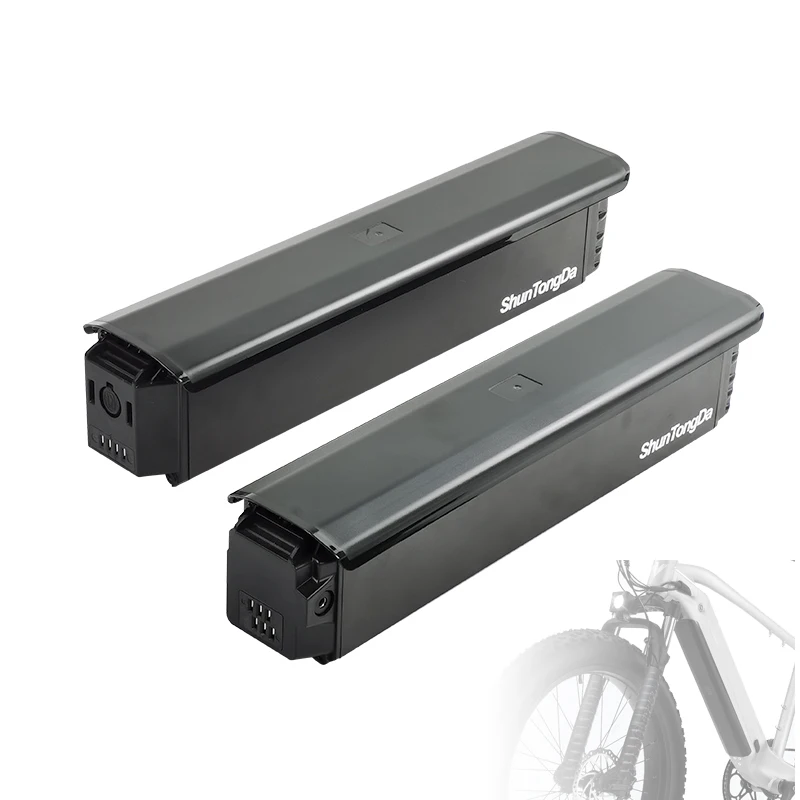 Green Cell® GC PowerMove Batterie Vélo Electrique 48V 14.5Ah Li-Ion