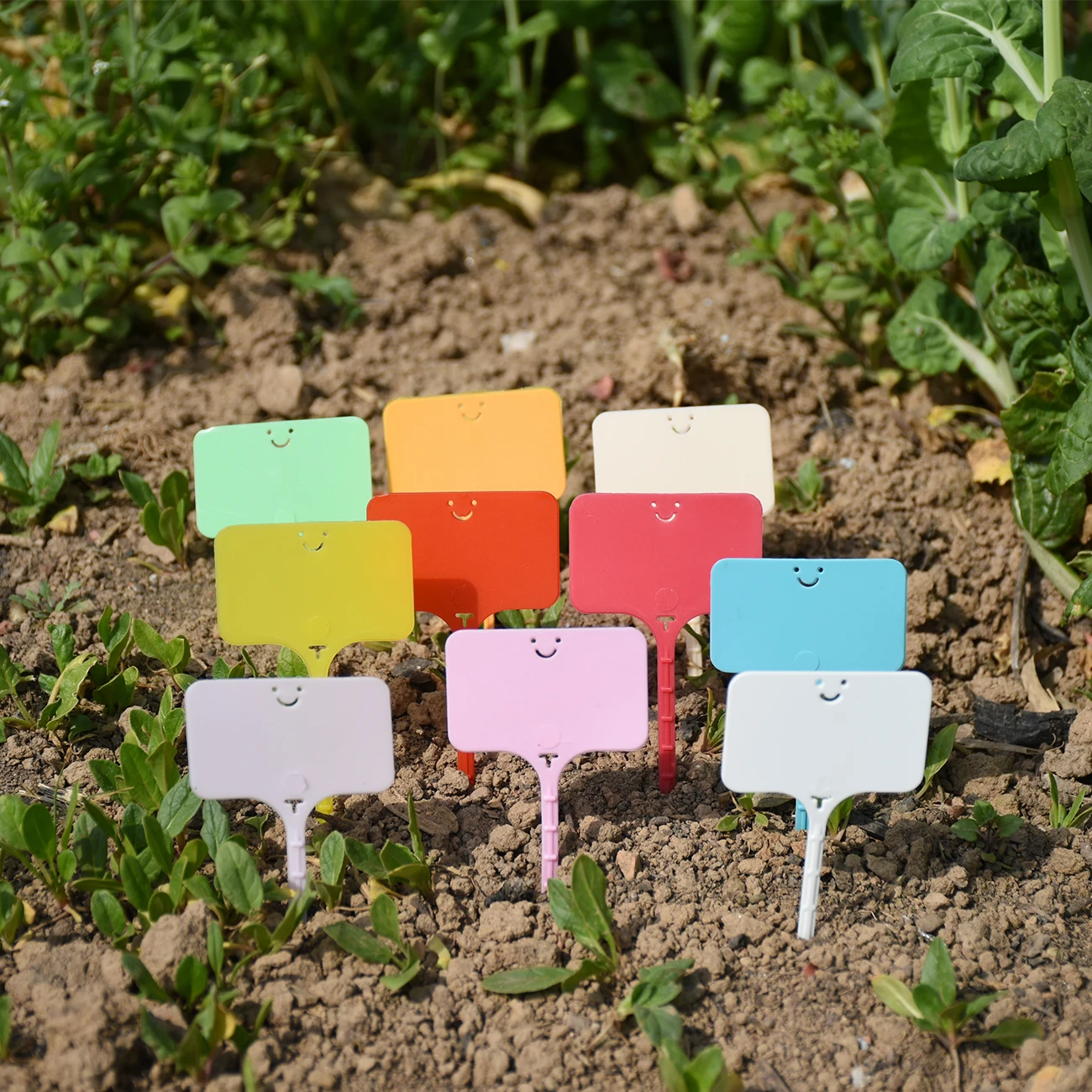 30-100pcs Garden Plastic Re-usable Plant Labels T-type Waterproof Sign Tags Markers Record Plate Flower Vegetables Potted Stakes