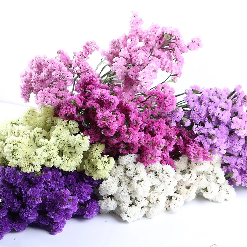 Fresh Preserved Flowers Dried Natural Flowers Forget Me Not Lover Grass Dry Flower Bouquets Wedding Decoration Room Decor Aliexpress