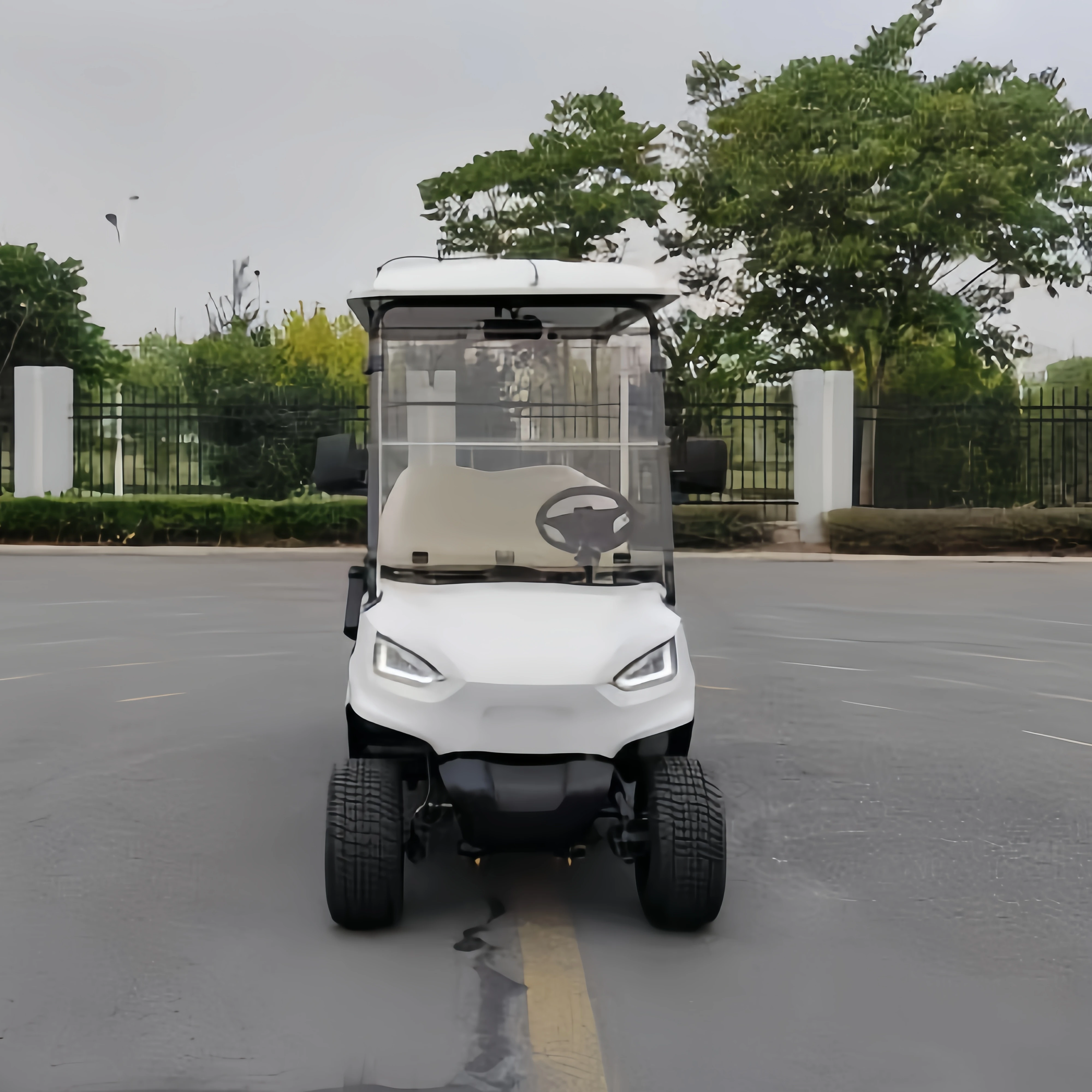High Click High r Performance Hunting Electric Golf Buggy Cart Car 2 Seats