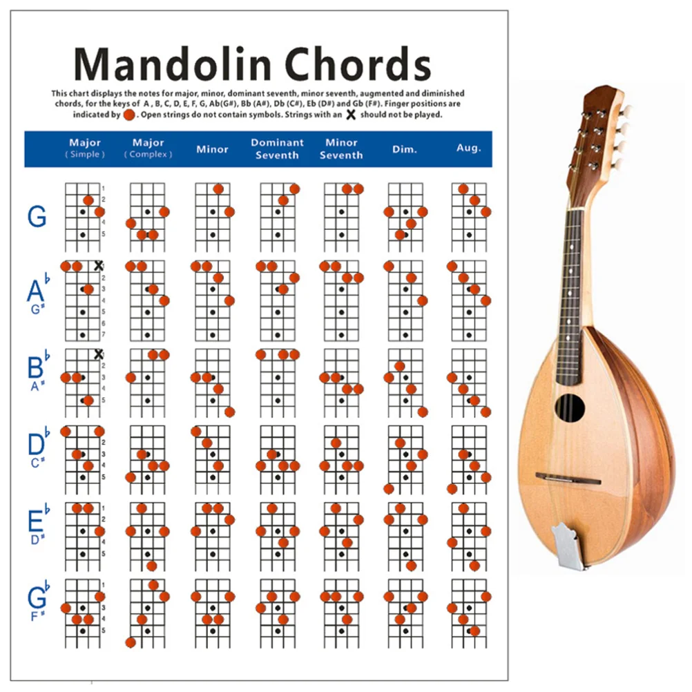 

Mandolin Chord Chart Mandolin Fretboard Mandolin Note Chart Decals Fingering Diagram Poster for Instrument Mandolin ( Large