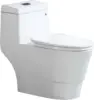 One Piece Toilet with Soft Closing Seat Chair Height 1.28 GPF Dual Water Sensed 1000 Gram MaP Flushing Score Toilet 1