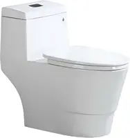 One Piece Toilet with Soft Closing Seat Chair Height 1.28 GPF Dual Water Sensed 1000 Gram MaP Flushing Score Toilet 1