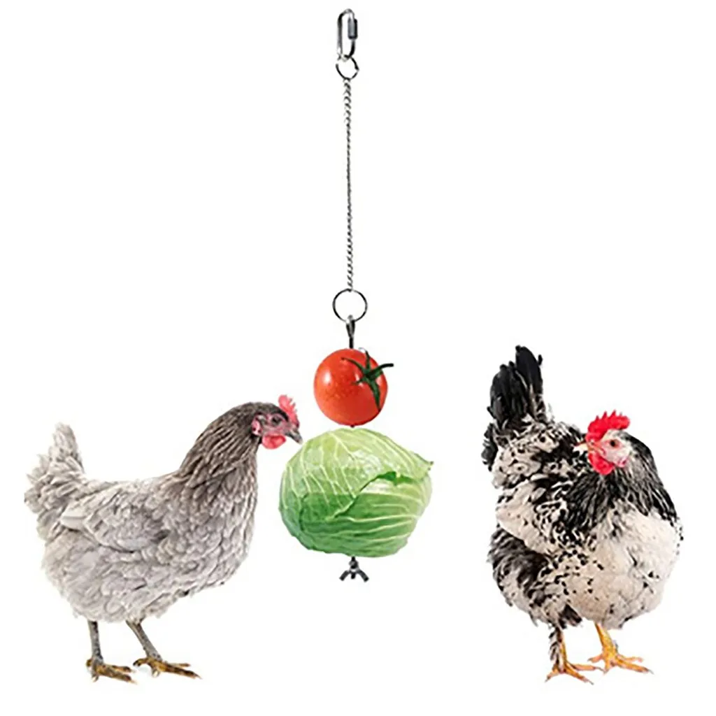 Stainless Steel Bird Food Holder 1