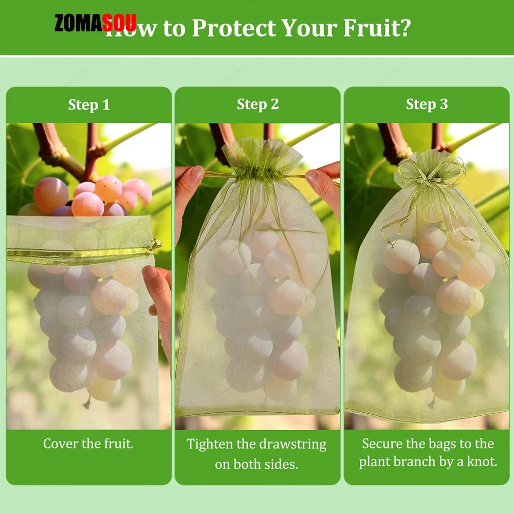 Rete Protettiva Per Piante Da Giardino 4 Pezzi Con Coulisse - Maglia Fine Anti Insetti E Uccelli - Protezione Per Verdure, Frutta E Fiori (Dimensioni Multiple) - 2