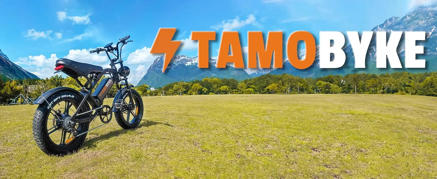 electric bike