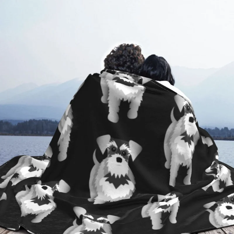 Snauzer-�ڶ� Fce ���� ��� ����Ʈ ���, ħ�� ���� ķ�� �繫�ǿ� �β��� ���