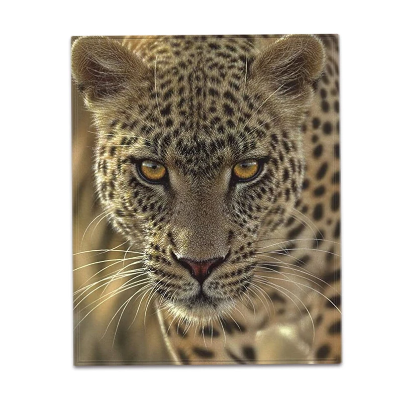 ��Ʈ�� ��踻 ��� ���� �÷��� õ���� ħ�� ���� Ȩ ���׸��� �ε巯�� ������ ħ�뺸 ���� �̺� Ŀ�� �ִϸ��̼� ���