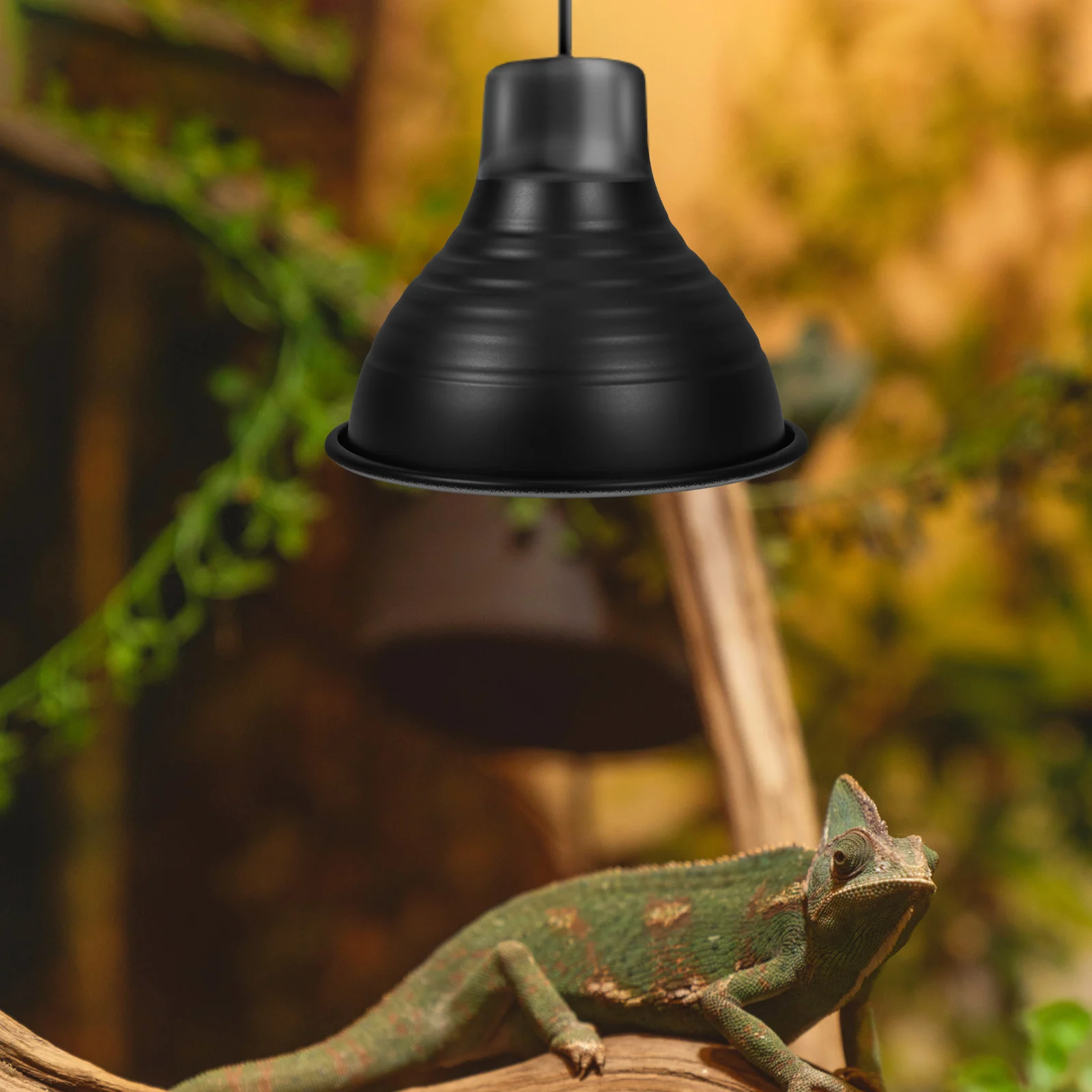 Reptile Heat Lamp Protector 3