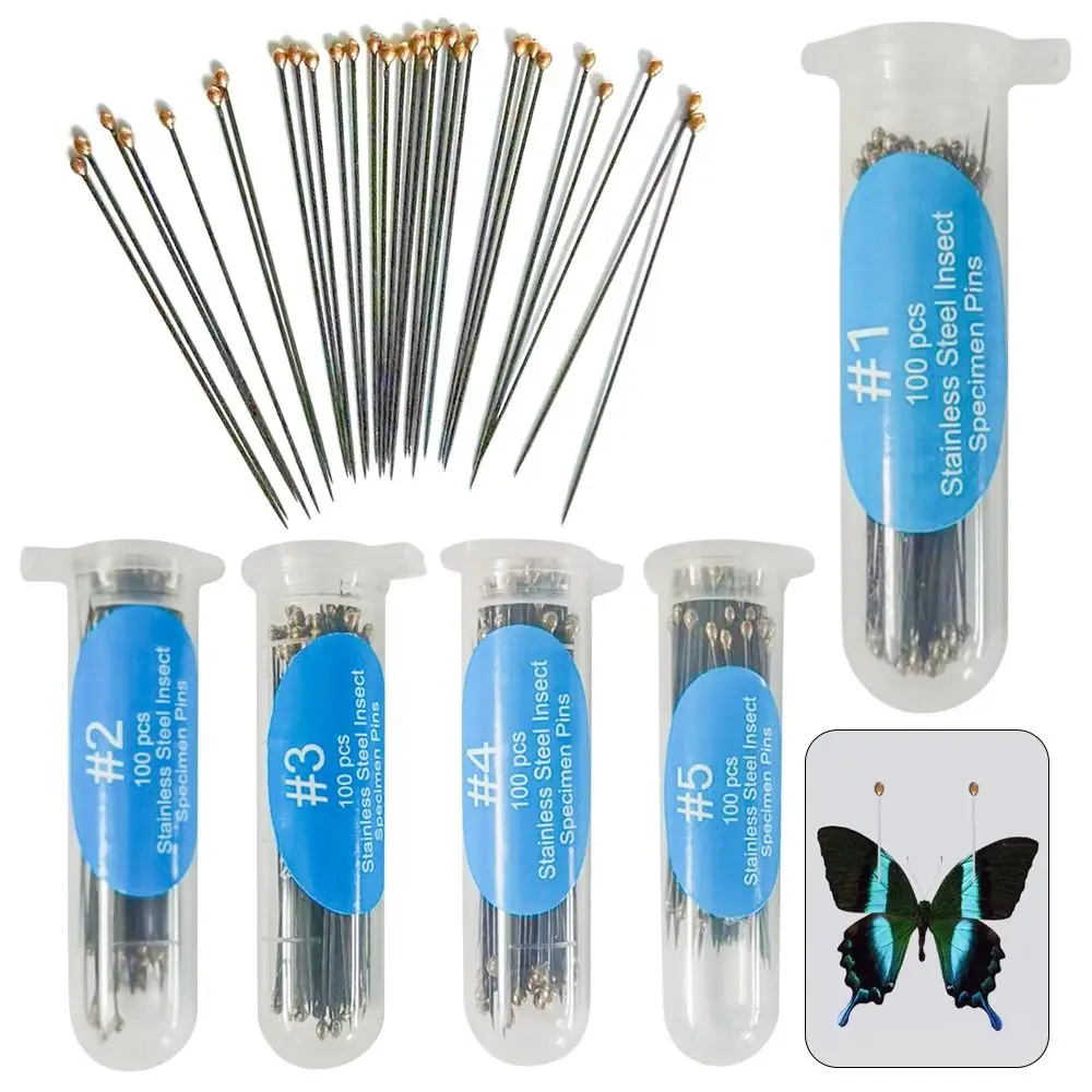 100Pcs Stainless Steel Insect Pins With Tube Specimen Pins For School Lab Education Accessories Body Dissection Insect Needle