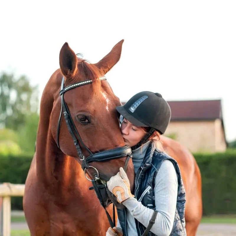 Horse Fly Mask Harness Supplies Horse Cover Windproof Eye Mask Speed Race Goggles Horse Head Cover Equestrian Accessories 6