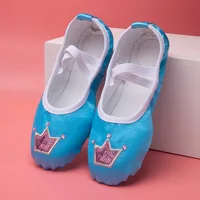 Wholesale Cheap OEM Foldable Pink Flesh Blue Crown Shoes for Girls Women High Quality Ballet Professional Shoe 1