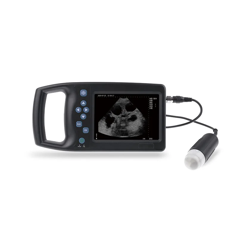 

Ruisheng Super Photography Animals B- Mode Ultrasound Animal Husbandry Veterinary Station Swine and Sheep Dog M6 Mechanical Fan