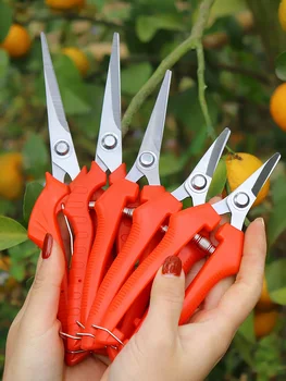 1pc minimalist pruning scissors, stainless steel plant branch scissors, for outdoor gardens