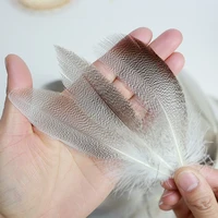 50PCS Natural Barred Mallard Duck Flank Feathers Wings Tails Streamers 3