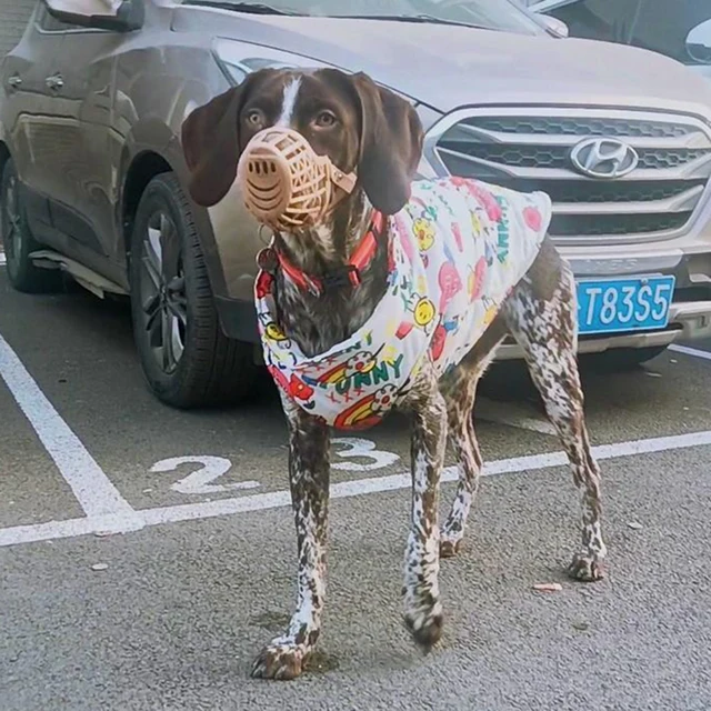 Fashion Big Dog Waterproof Jacket Autumn Winter Pet Coat with Traction Buckle Doberman Pinscher Golden Retriever Outdoor Jackets 6